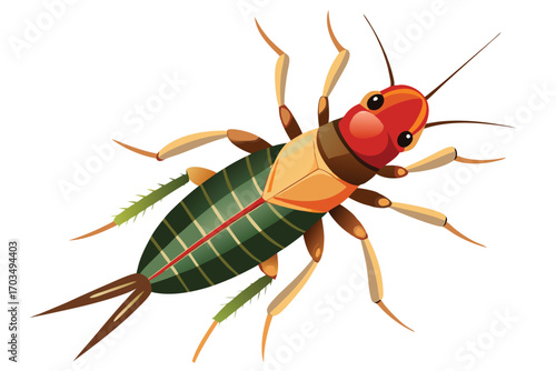 Cartoon Earwig Illustration with Prominent Pincers and Detailed Body Markings a Stylized and Educational Representation of Insect Anatomy