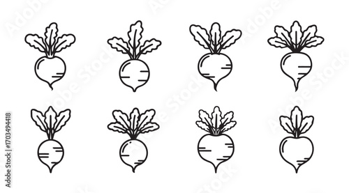 Collection of eight hand drawn radish vegetable silhouettes with green tops