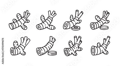 Collection of ginger root illustrations in a simple black and white silhouette style