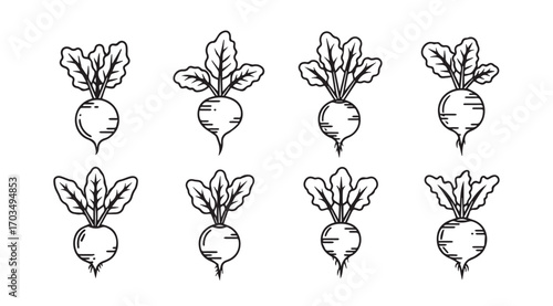 Collection of hand drawn radish vegetables in a simple silhouette style