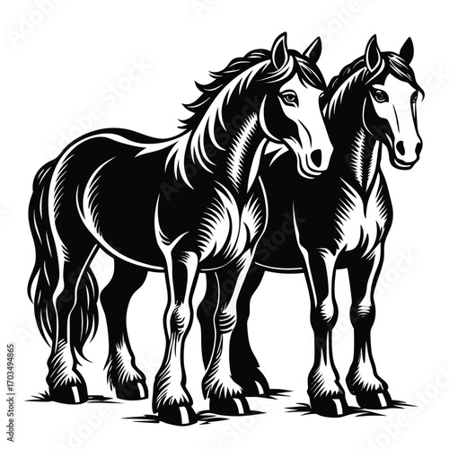 Majestic Duo Monochrome Illustration of Two Powerful Draft Horses Standing Side by Side in Striking Contrast and Detailed Linework