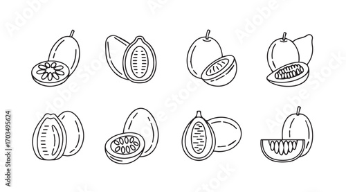 Collection of fresh papaya fruit illustrations in a distinctive silhouette style