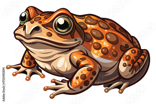 Illustration of a Cartoon Toad with Orange Skin and Brown Spots, Exaggerated Features, Artistic Style, and Expressive Eyes