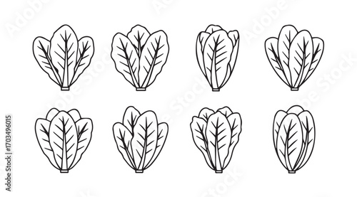 Collection of eight stylized leafy green vegetable silhouettes