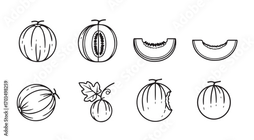 Collection of hand drawn melon and fruit silhouettes with various cuts and details