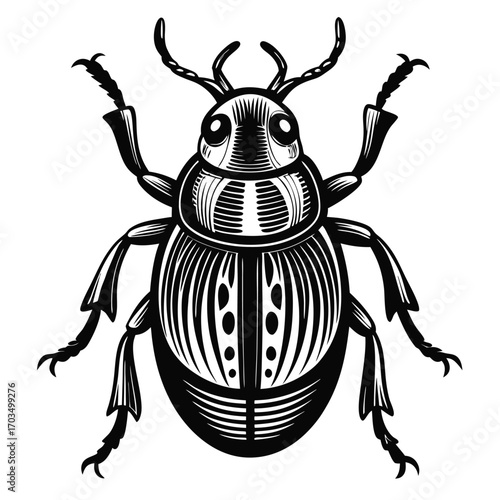 Intricate Engraving of a Scarab Beetle Detailed Black and White Illustration of an Insect with Elaborate Markings and Design