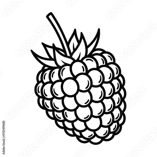 Black and white line art illustration of a single raspberry with stem and leaves fruit outline