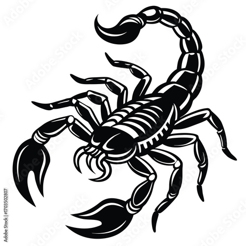 Monochrome line art scorpion vector illustration with intricate details and bold outline
