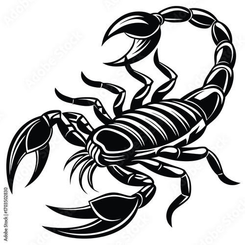 Monochrome line art scorpion illustration with intricate details and sharp stinger