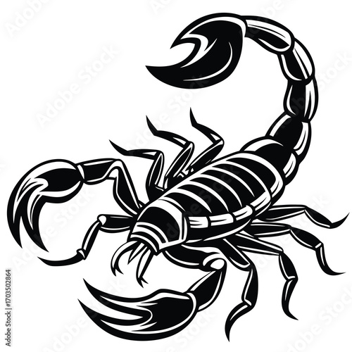 Monochrome line art illustration of a detailed scorpion suitable for graphic design and tattoo art
