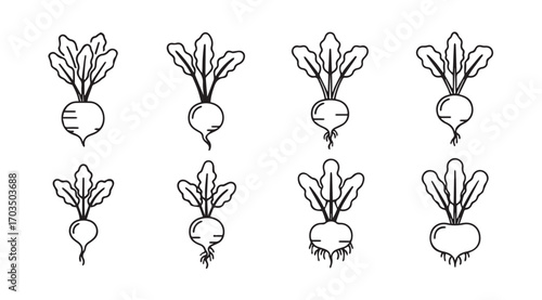 Collection of eight hand drawn radish vegetables in a simple silhouette style