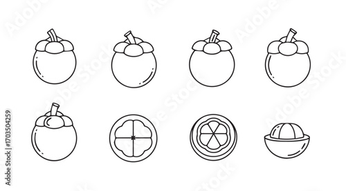 Collection of mangosteen fruit illustrations in a simple silhouette style
