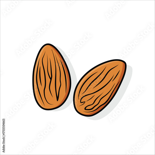 Two brown almonds with textured shells drawn in a simple flat illustration style.