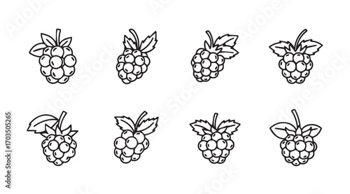 Collection of eight stylized raspberry silhouettes with leaves on a white background silhouette