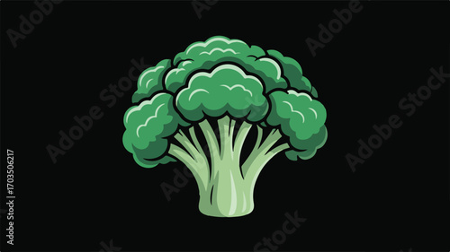 Detailed Illustration of a Fresh Green Broccoli Head vegetable food