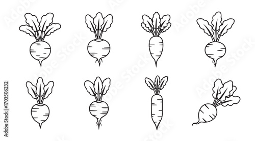 Collection of hand drawn radish and carrot vegetable silhouettes
