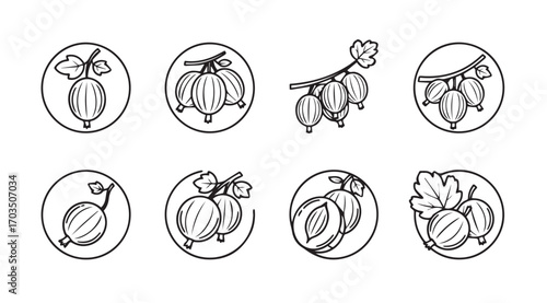 Collection of oval silhouettes featuring various fruits and berries silhouette