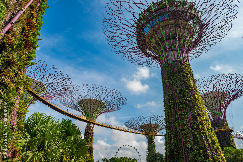 Fototapeta premium showcases the iconic Supertree Grove at Gardens by the Bay in Singapore, with the skywalk and vertical gardens bathed in warm evening light, symbolizing sustainability and urban green innovation.