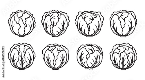Eight detailed cabbage heads in a stylized silhouette pattern