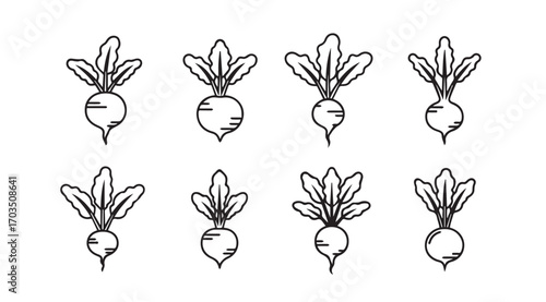 Collection of eight hand drawn radish vegetables in a simple silhouette style