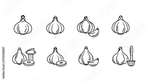 Collection of hand drawn garlic illustrations in silhouette style