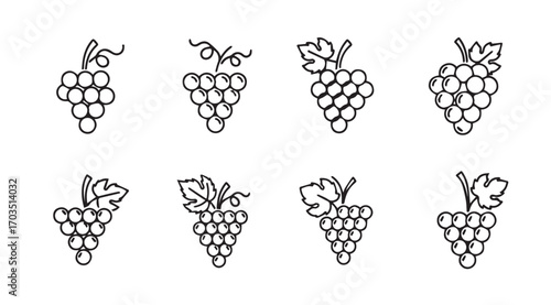 Collection of hand drawn grape clusters in a distinctive silhouette style