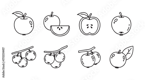 Collection of hand drawn apple illustrations in a distinctive silhouette style