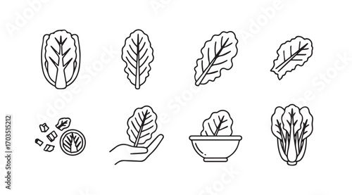 Collection of various leafy green vegetables and seeds in a simple silhouette style