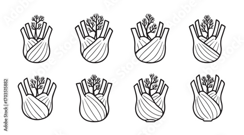 Collection of eight hand drawn outline fennel bulb vegetables silhouette