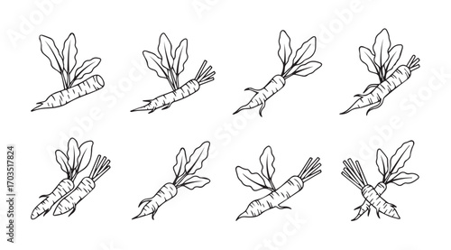 Collection of hand drawn carrot silhouettes with leafy tops in a sketchy style