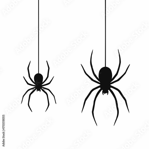 black widow spider