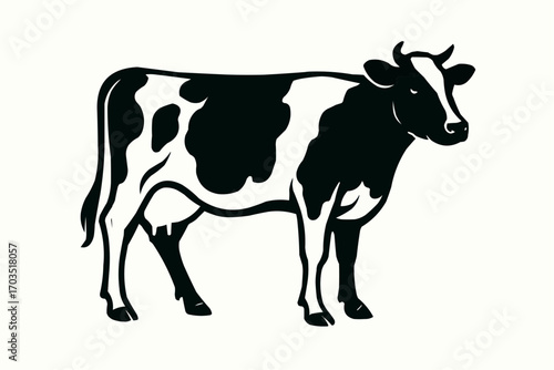 black and white cow