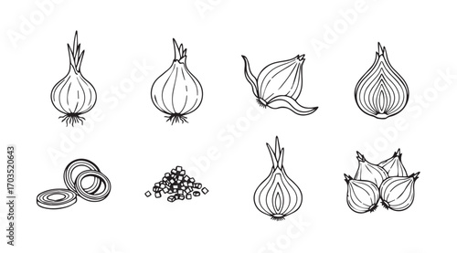 Collection of hand drawn onion illustrations in a distinctive silhouette style