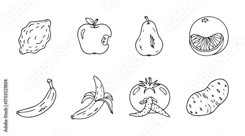 Collection of hand drawn fruit and vegetable silhouettes in a sketchy style