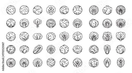 Collection of intricate oval shapes with detailed patterns in silhouette