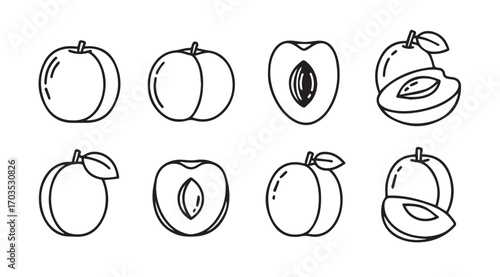 Collection of hand drawn plums and plum halves in silhouette style
