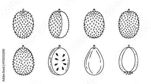 Collection of soursop fruit illustrations in silhouette style