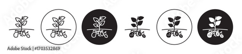 Potatoes plant icons collection in black filled and stroke line style