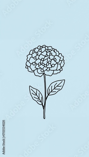 Minimalist hydrangea flower flat design simple line hand drawing on plain pastel blue background