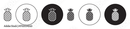 Pineapple icons collection in black filled and stroke line style