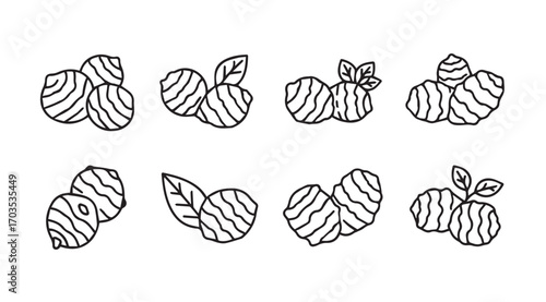 Collection of hand drawn potato and leaf silhouettes in outline style
