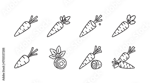 Collection of hand drawn carrot silhouettes with various details and slices