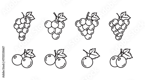 Collection of simple line art grape clusters and pairs silhouette