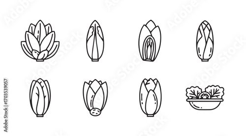 Collection of hand drawn vegetable silhouettes featuring various leafy greens and buds