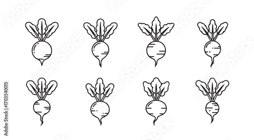Collection of eight hand drawn radish vegetables in a simple silhouette style