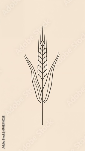 Minimalist corn plant flat design simple line hand drawing on plain wheat beige background