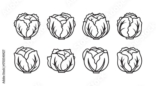 Collection of eight hand drawn cabbage vegetable silhouettes in a row