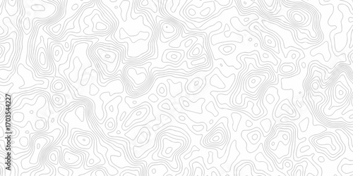 white topography map geography relief diagram texture design. Topography white background and black line world map texture design. Lines Topographic contour lines grid map seamless pattern.