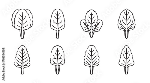Eight hand drawn stylized spinach leaf silhouettes on a white background