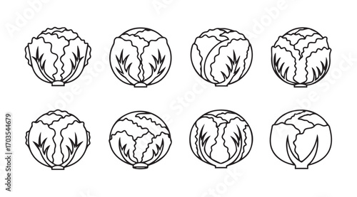 Collection of eight detailed cabbage vegetable silhouettes in a grid layout